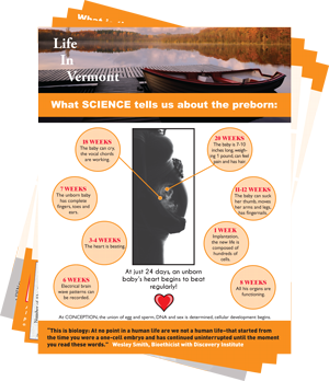 Life in Vermont Flier Life in Vermont Flier